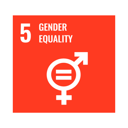5-gender-equality