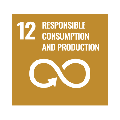 12-responsible-consumption