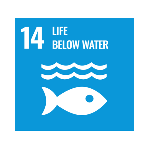 14-life-below-water